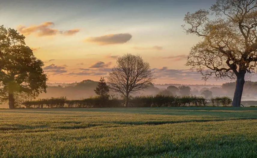 Belton Countryside